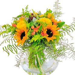 An exuberant symphony of golden blooms and lush greenery fills this joyful bouquet, its every detail curated by an experienced Hammersmith florist. Towering sunflowers command attention with their bold, brown-centered faces angled toward the light, surrounded by layers of buttery yellow garden roses whose petals unfold in tight, fragrant spirals. Between them gleam clusters of ruby-red Hypericum berries, offering lively punctuation and a hint of playful surprise. A vibrant ensemble of greenery anchors the arrangement: emerald fern fronds drape gracefully over the vase's edge, mingling with delicate, airy filler stems-possibly goldenrod-studded with tiny yellow buds. Wisps of blue-green eucalyptus introduce a subtle, herbal freshness reminiscent of W6's morning air near Furnivall Gardens. Held together in a clear, rounded glass vase that exposes the lively disorder of green stems and the clarity of pure water, this arrangement's composition reflects a harmonious blend of urban style and natural abundance-something unmistakably Hammersmith. The bouquet's cheerful palette and natural movement capture the feeling of a late summer day on King Street, perfect for joyful milestones, heartfelt greetings, or brightening a windowsill overlooking the Thames. Each element recalls the artistry and local tradition that defines flower delivery across Hammersmith's unique neighbourhoods, inviting a little sunshine into every home.